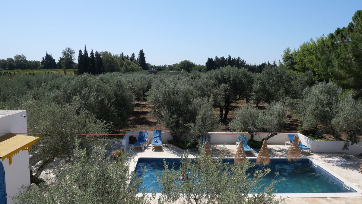 Jardin d'oliviers et piscine, cadre pour baptême à Dar Kameleon